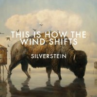 Silverstein - This Is How The Wind Shifts - Addendum