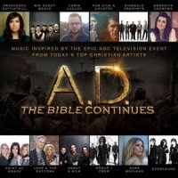 Various  2015  AD The Bible Continues